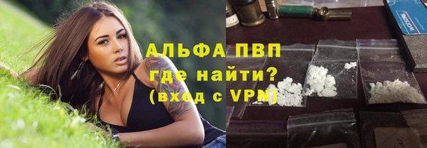 мет Алексин
