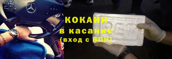 мет Алексин