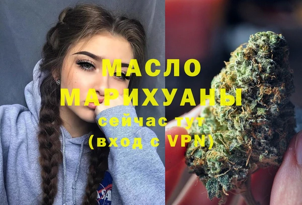 мет Алексин