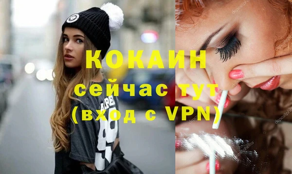 кокс Няндома